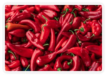 CitrusBurn-ingrediant-Andalusian Red Pepper