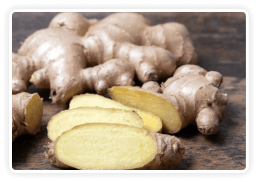 CitrusBurn™-ingrediant-Himalayan Mountain Ginger