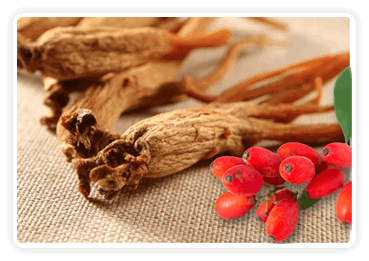 CitrusBurn-ingrediant-Berberine & Korean Red Ginseng